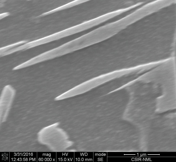 microstructure modification between the conventional DP590 and modified DP590 microstructure:
